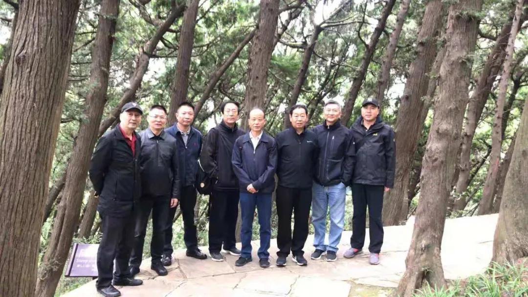 醉美西域宁夏,千年风情之旅